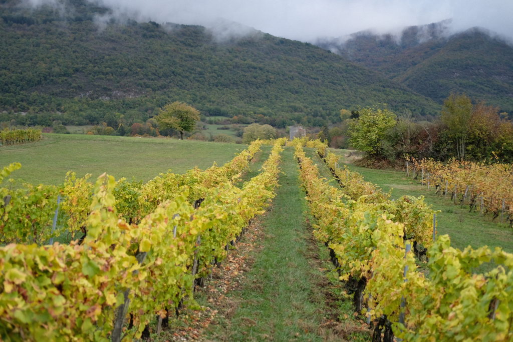 Presse · Domaine D'ici là